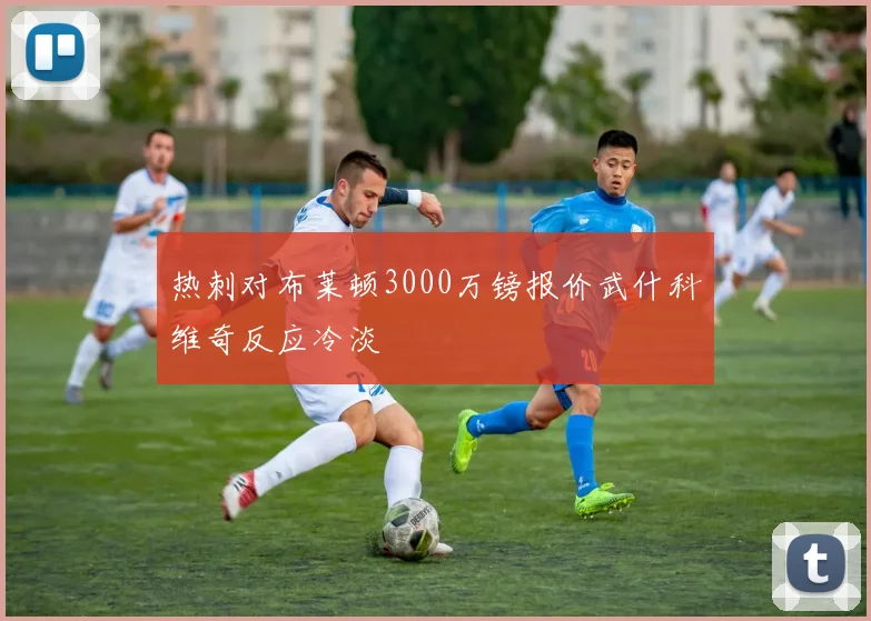 热刺对布莱顿3000万镑报价武什科维奇反应冷淡