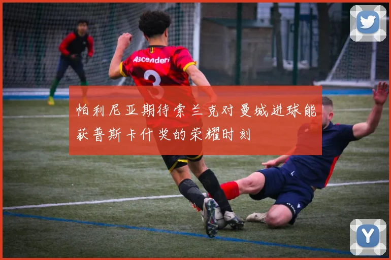 帕利尼亚期待索兰克对曼城进球能获普斯卡什奖的荣耀时刻