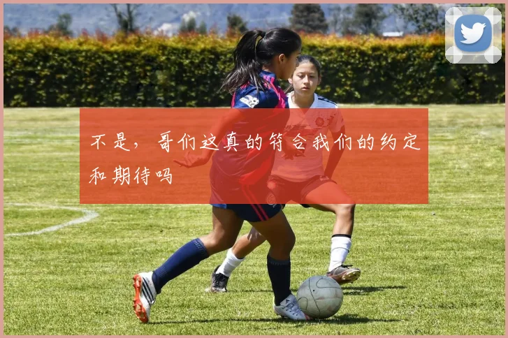 不是，哥们这真的符合我们的约定和期待吗