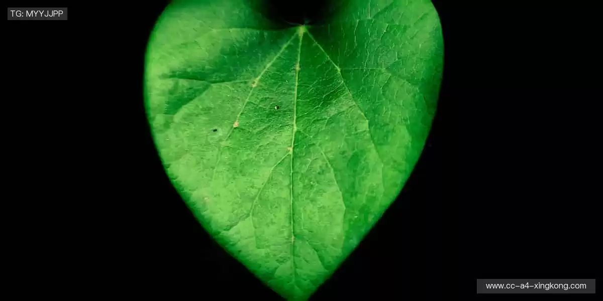 装备升级，潮流同款等你 Pick！🎁👟 专业品质，助力每一次突破！